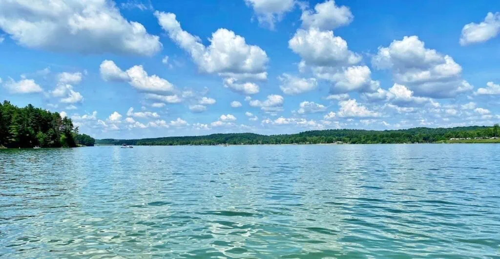 Calm lake with trees and fluffy clouds