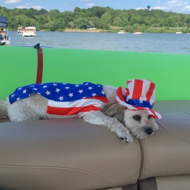 Dog in patriotic outfit relaxing on a boat